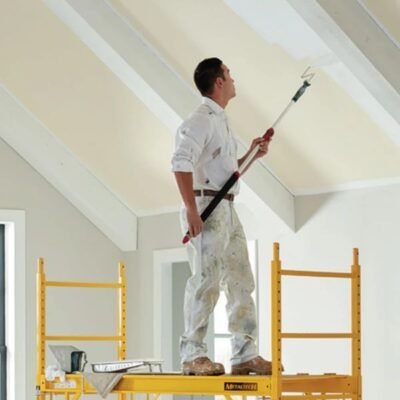 Painter in Sainath Nagar applying interior wall paint